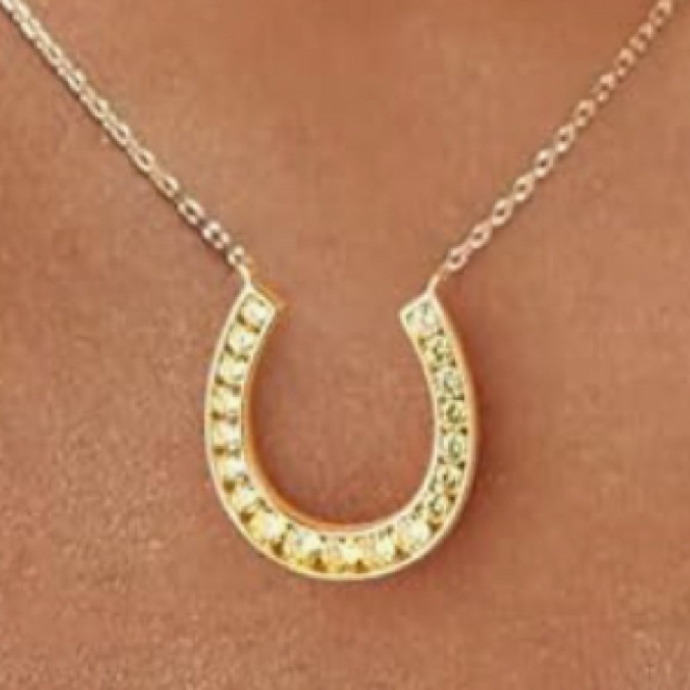 Gorgeous upscale Neiman Marcus 18KT vermeil Citrine Large Horseshoe necklace